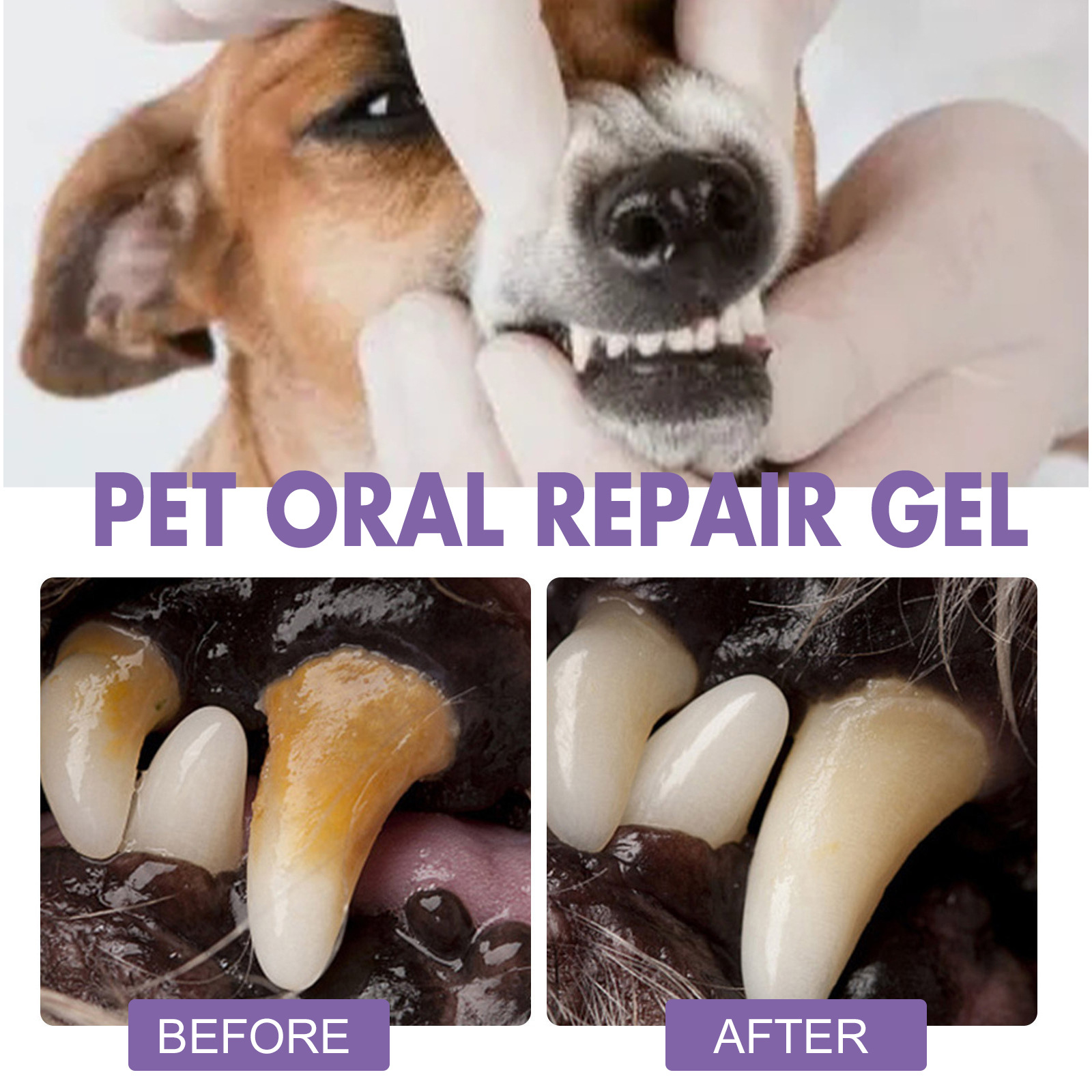 Huisdier Orale Reparatie Gel P - Teeth Whitening From Home recensie en prijs